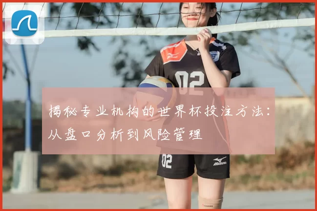揭秘专业机构的世界杯投注方法：从盘口分析到风险管理