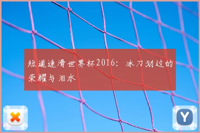 短道速滑世界杯2016:冰刀划过的荣耀与泪水