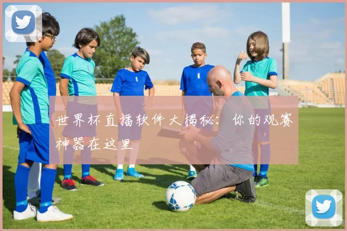 世界杯直播软件大揭秘：你的观赛神器在这里