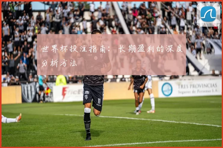 世界杯投注指南:长期盈利的深度分析方法