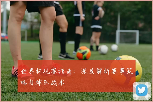 世界杯观赛指南：深度解析赛事策略与球队战术