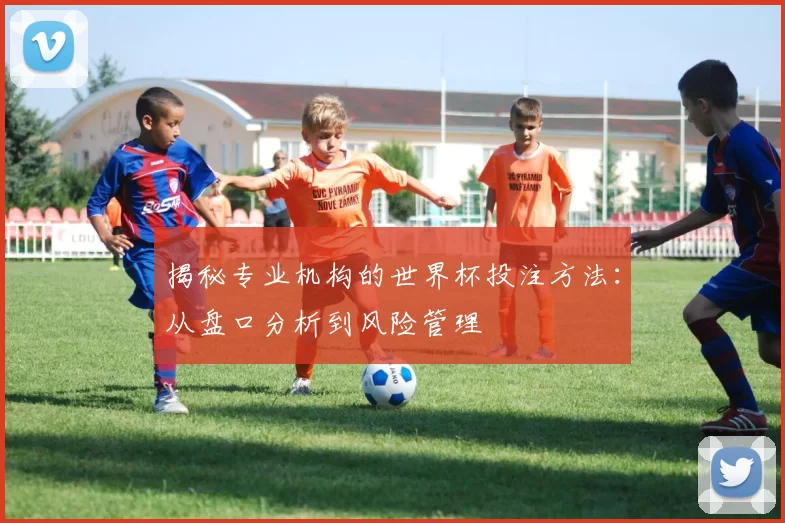 揭秘专业机构的世界杯投注方法：从盘口分析到风险管理