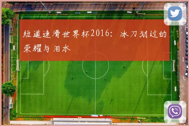 短道速滑世界杯2016:冰刀划过的荣耀与泪水