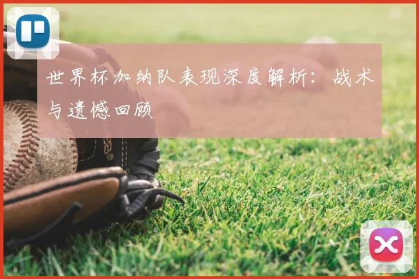 世界杯加纳队表现深度解析:战术与遗憾回顾