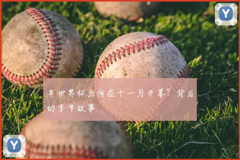 年世界杯为何在十一月开幕?背后的季节故事