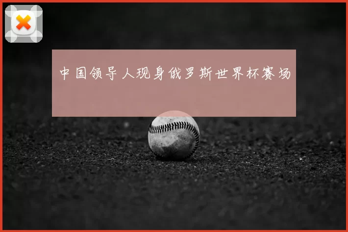 中国领导人现身俄罗斯世界杯赛场
