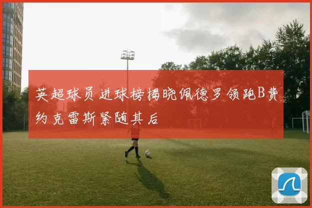 英超球员进球榜揭晓佩德罗领跑B费约克雷斯紧随其后